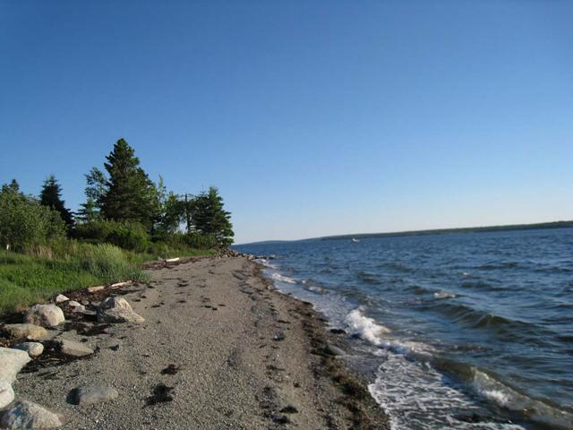 Image of Property Number 306