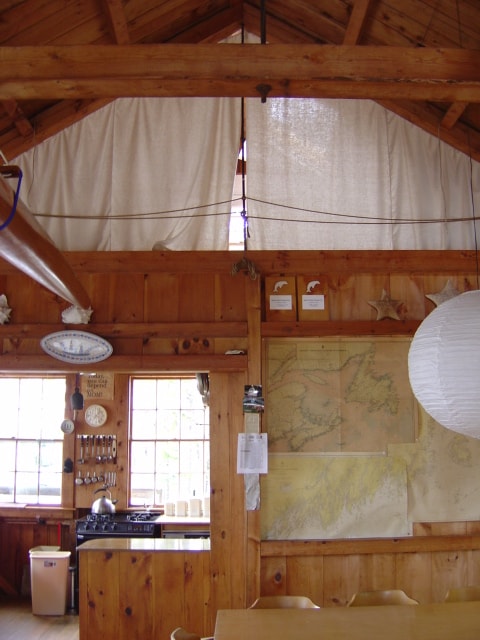 Image of Property Number 593