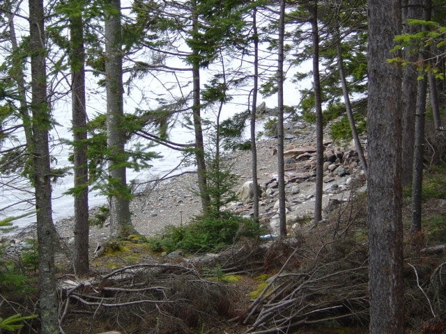 Image of Property Number 593