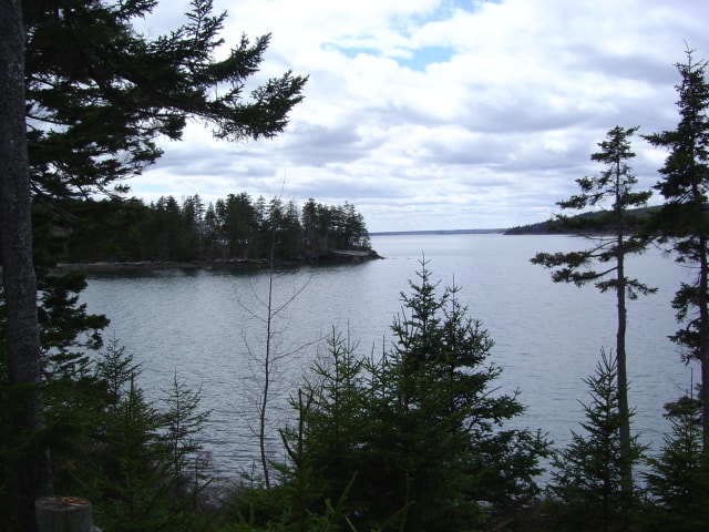 Image of Property Number 593