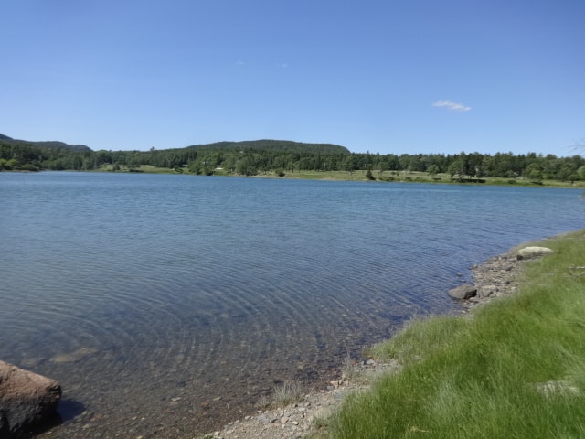 Image of Property Number 765